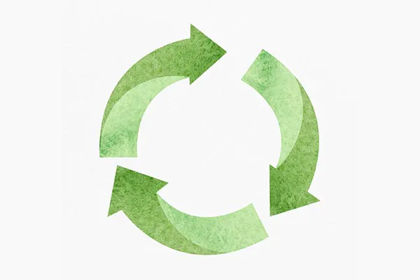 Ciclo das espécies de mudas