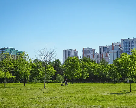 arborização de áreas verdes
